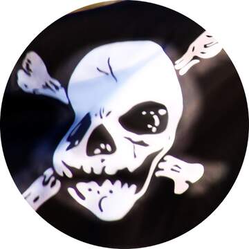 FX №233755 Pirate profile image