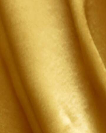 FX №236006 Gold fabric texture