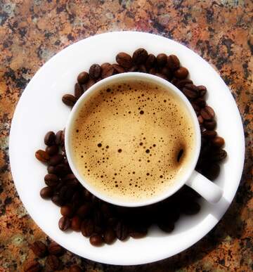 FX №262494 Чашка кави