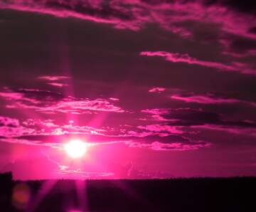 FX №262149 Pinky  Sunset