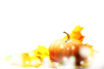 FX №265333 Pumpkin autumn Bright background