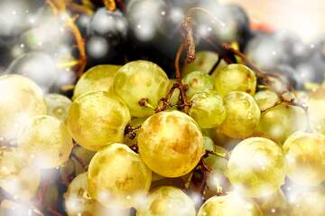 FX №265496 Wine and Grapes Serenade: Holiday Background Bliss