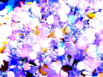 FX №266711 Abstract Daisies blue background