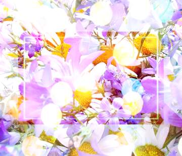 FX №266697 Aesthetic collage  Daisies and Bells flowers Bouquet.