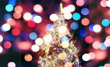 FX №266949 Obrázky vianočného stromu