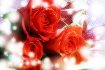 FX №266301 Rose Elegance: Greetings of Love in Floral Harmony