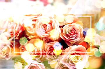 FX №266277 Rose Petal Symphony in Love`s Background Bloom