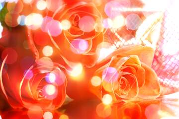 FX №266317 Rose Serenade: Greetings of Love in Background Bloom
