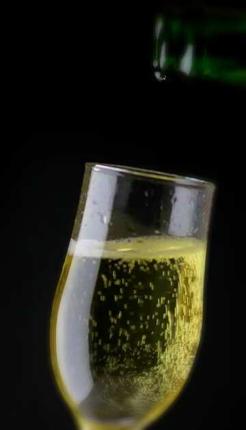 FX №30076 Champagne bubbles