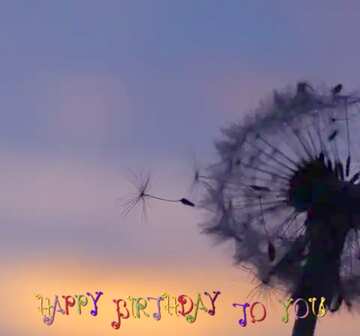 FX №33428 Dandelion seeds happy birthday card