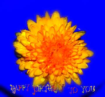 FX №36124 Flower water happy birthday card