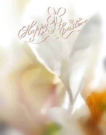 FX №37112 Background white happy easter flowers