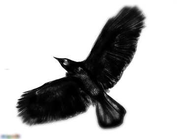 FX №37726 there is a bird flying that could be used durring Halloween