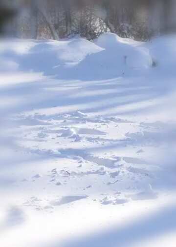 FX №38676 traces in the snow