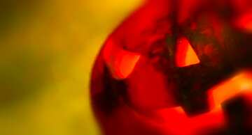 FX №39581  Halloween pumpkin background