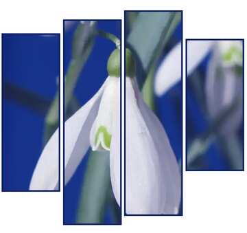 FX №4556 Spring Flowers modular picture