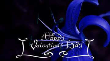 FX №42368 Blue  lily  flower  happy valentines day