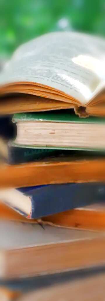 FX №52382 Books blur frame vertical background