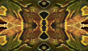FX №57764 Snake Skin   pattern