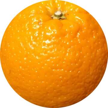 FX №57433 Orange