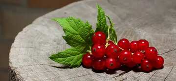 FX №61038 Red currants wood