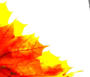 FX №61490 Abdeckung. Herbst gelbes Laub isoliert.