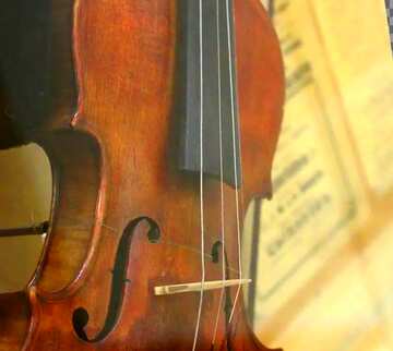 FX №62822 Abdeckung. Violine.