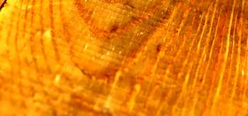 FX №67187 Couverture. La texture des planches fond bois bureau rugueux.