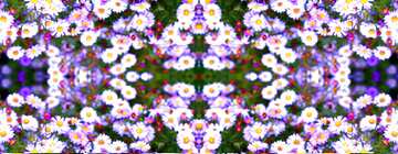 FX №71418  flowers pattern