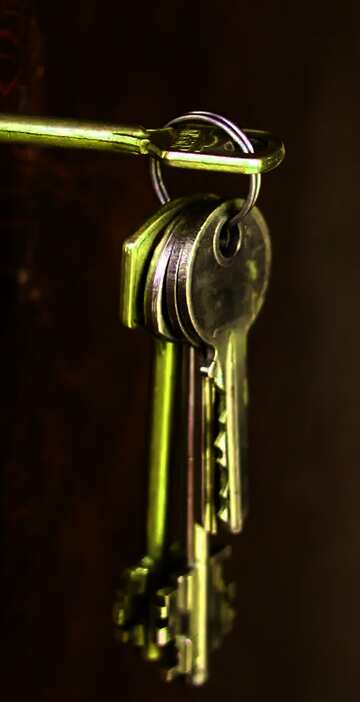 FX №74837 Keys in door lock 
