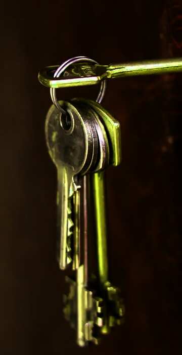 FX №74844 keys in lock 