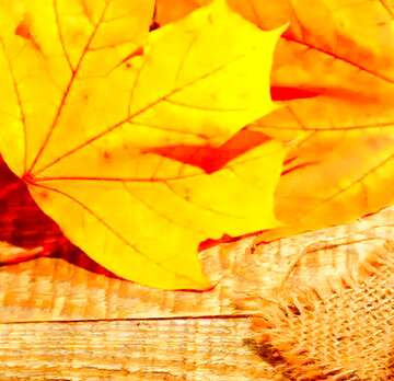 FX №75283 Autumn background