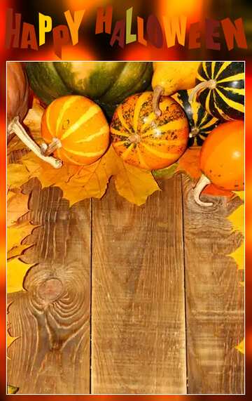 FX №75654 Autumn card pumpkins happy halloween