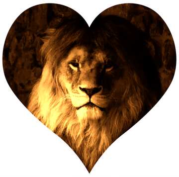FX №76802 I love lions