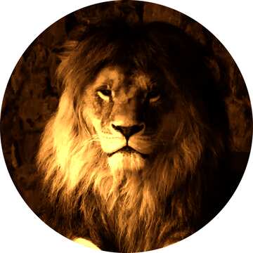 FX №76801 lion profile picture