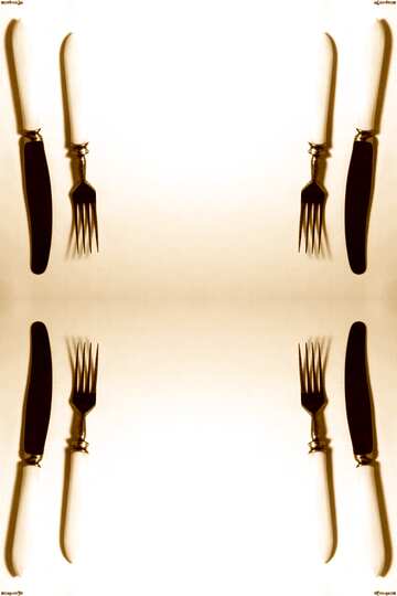 FX №76747 Old bone fork and knife