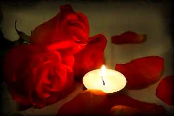 FX №98776 Romantic red roses