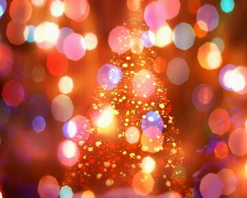 FX №266764 Best Artificial Christmas Tree  background