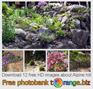 images free photo bank tOrange offers free photos from the section:  alpine-hill