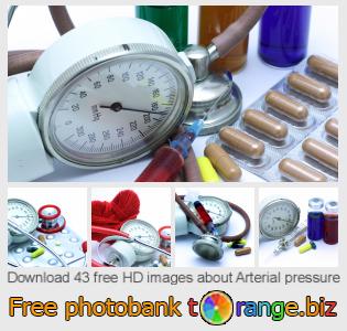 images free photo bank tOrange offers free photos from the section:  arterial-pressure