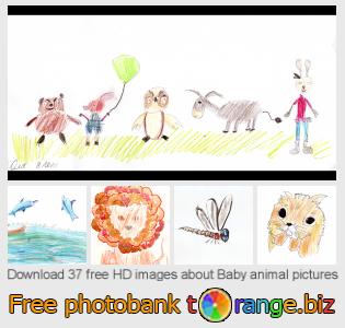 images free photo bank tOrange offers free photos from the section:  baby-animal-pictures