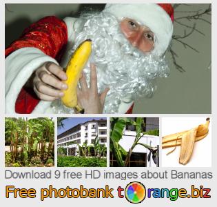 images free photo bank tOrange offers free photos from the section:  bananas