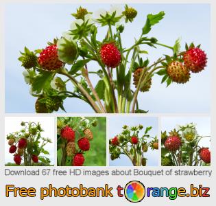 images free photo bank tOrange offers free photos from the section:  bouquet-strawberry