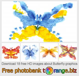 images free photo bank tOrange offers free photos from the section:  butterfly-graphics