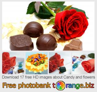 images free photo bank tOrange offers free photos from the section:  candy-flowers