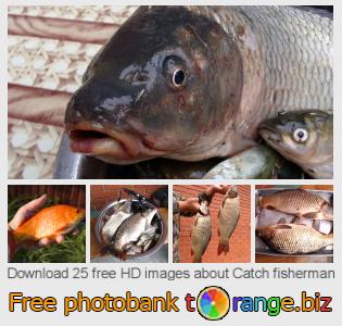 images free photo bank tOrange offers free photos from the section:  catch-fisherman