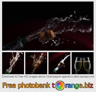 images free photo bank tOrange offers free photos from the section:  champagne-against-dark-background