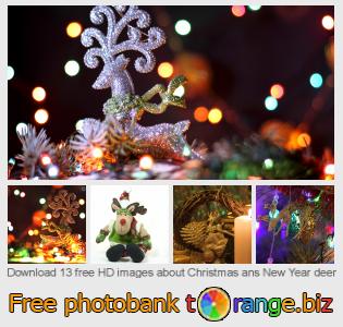 images free photo bank tOrange offers free photos from the section:  christmas-ans-new-year-deer