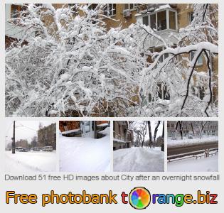 images free photo bank tOrange offers free photos from the section:  city-after-overnight-snowfall