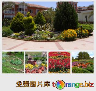 花坛的花池免费图片花春免费图片公园 Torange Biz